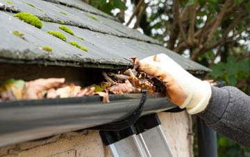 gutter cleaning Cockwood